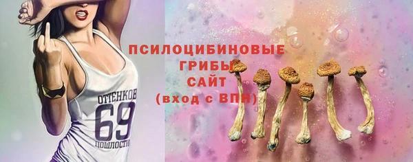 стафф Богородск