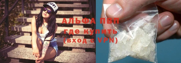 индика Богородицк
