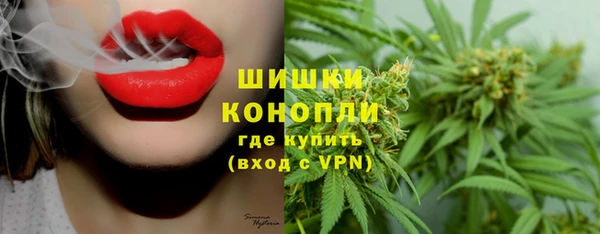 индика Богородицк