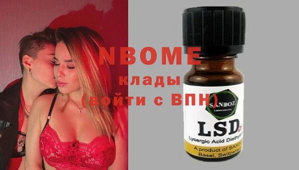 индика Богородицк