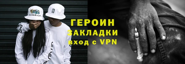 индика Богородицк