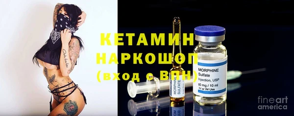 индика Богородицк