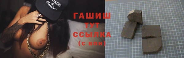индика Богородицк