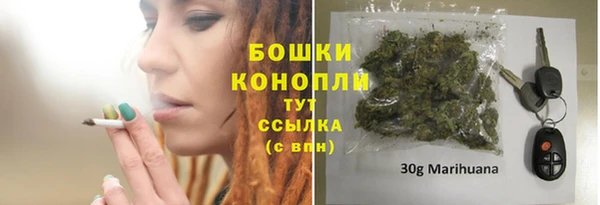 стафф Богородск