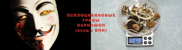 стафф Богородск