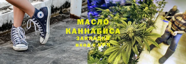 индика Богородицк