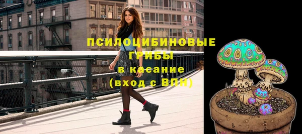 индика Богородицк