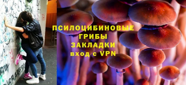 стафф Богородск