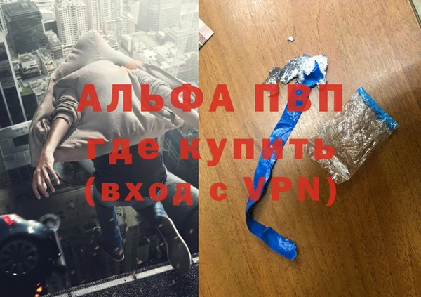индика Богородицк