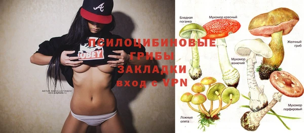 2c-b Богданович