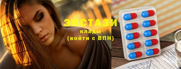 индика Богородицк