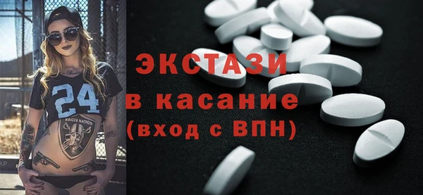 индика Богородицк