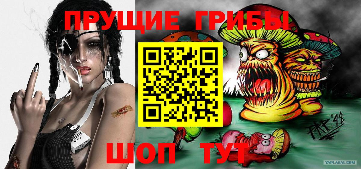 Галлюциногенные грибы Psilocybine cubensis Верхняя Салда