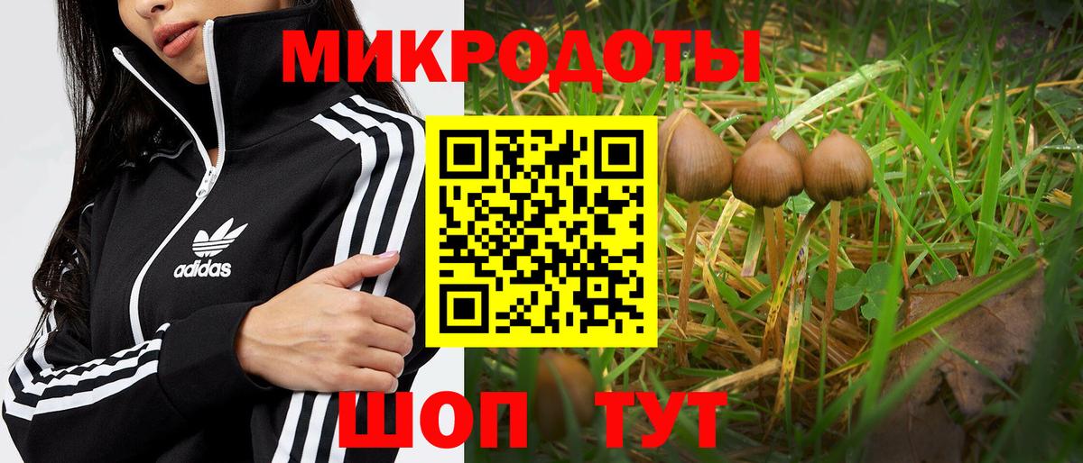 купить   Псилоцибиновые грибы Cubensis  Вход с VPN  Верхняя Салда  Псилоцибиновые грибы ЛСД 