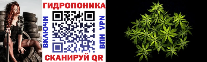 сколько стоит  Верхняя Салда  Канабис сатива 